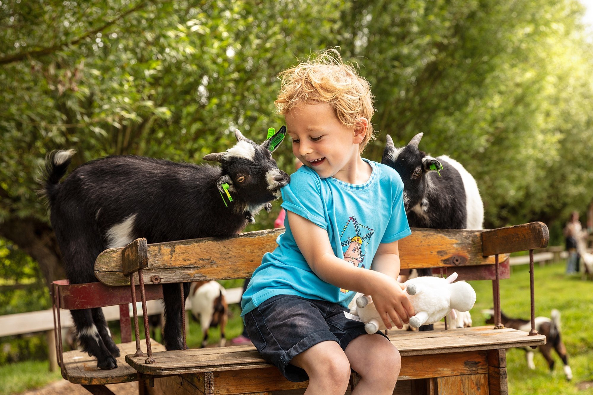 The Big Animal Party