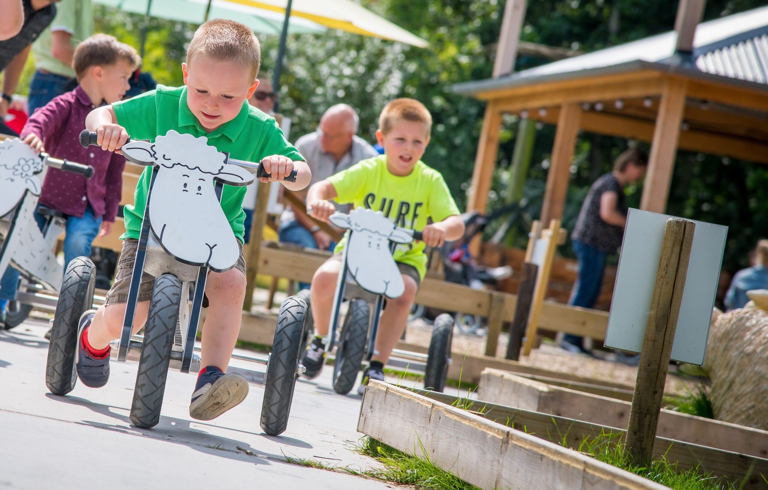 Take a peek at the Adventure Farm!