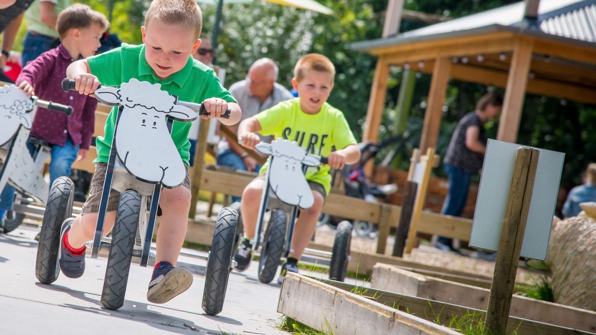 Take a peek at the Adventure Farm!