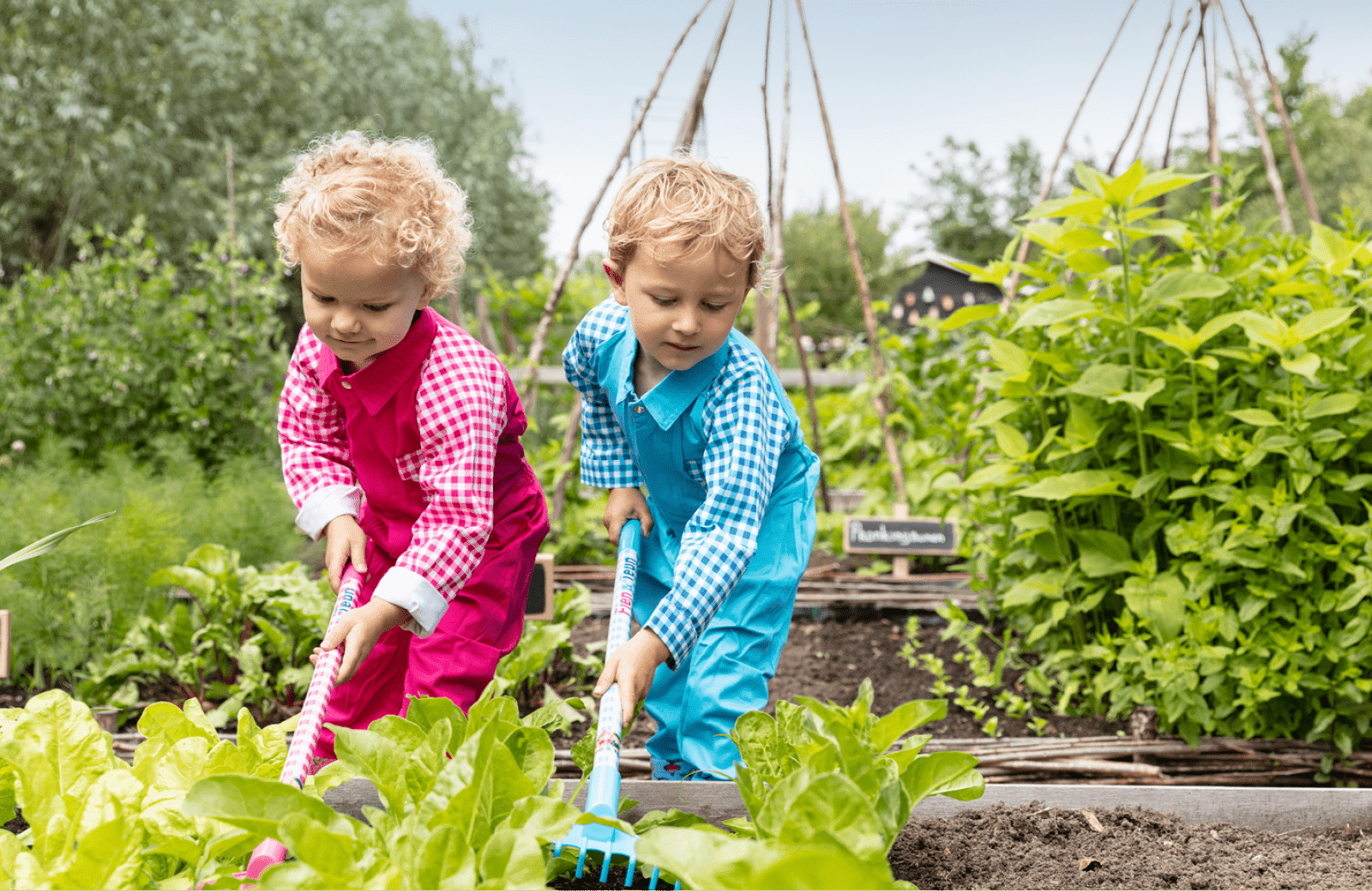 Greenhouse & kitchen garden