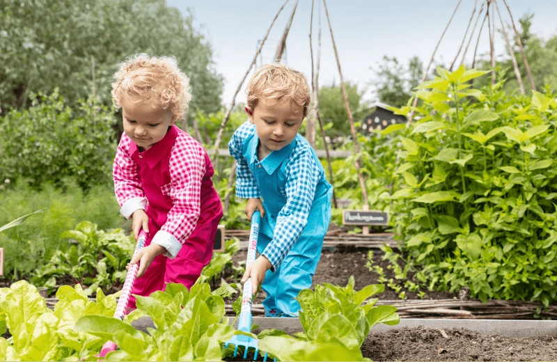 Greenhouse & kitchen garden